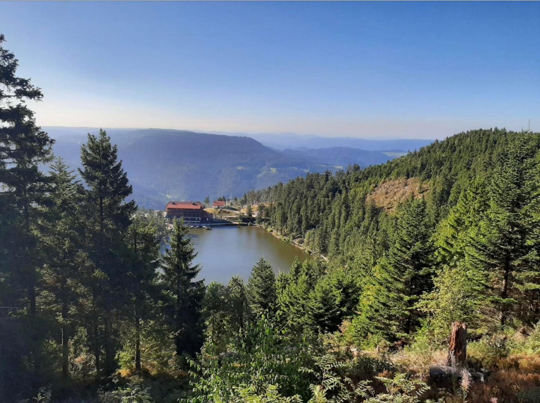 Ferienwohnung Schwarzwald Tannenzaepfle Baiersbronn Luaran gambar