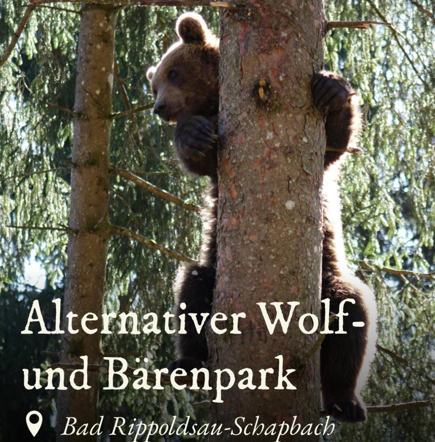 Ferienwohnung Schwarzwald Tannenzaepfle Baiersbronn Luaran gambar