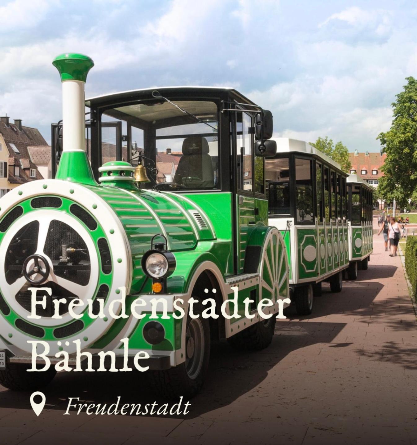 Ferienwohnung Schwarzwald Tannenzaepfle Baiersbronn Luaran gambar