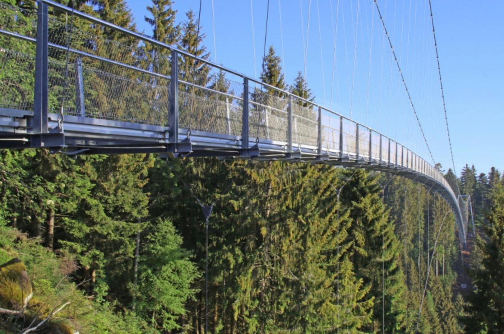 Ferienwohnung Schwarzwald Tannenzaepfle Baiersbronn Luaran gambar