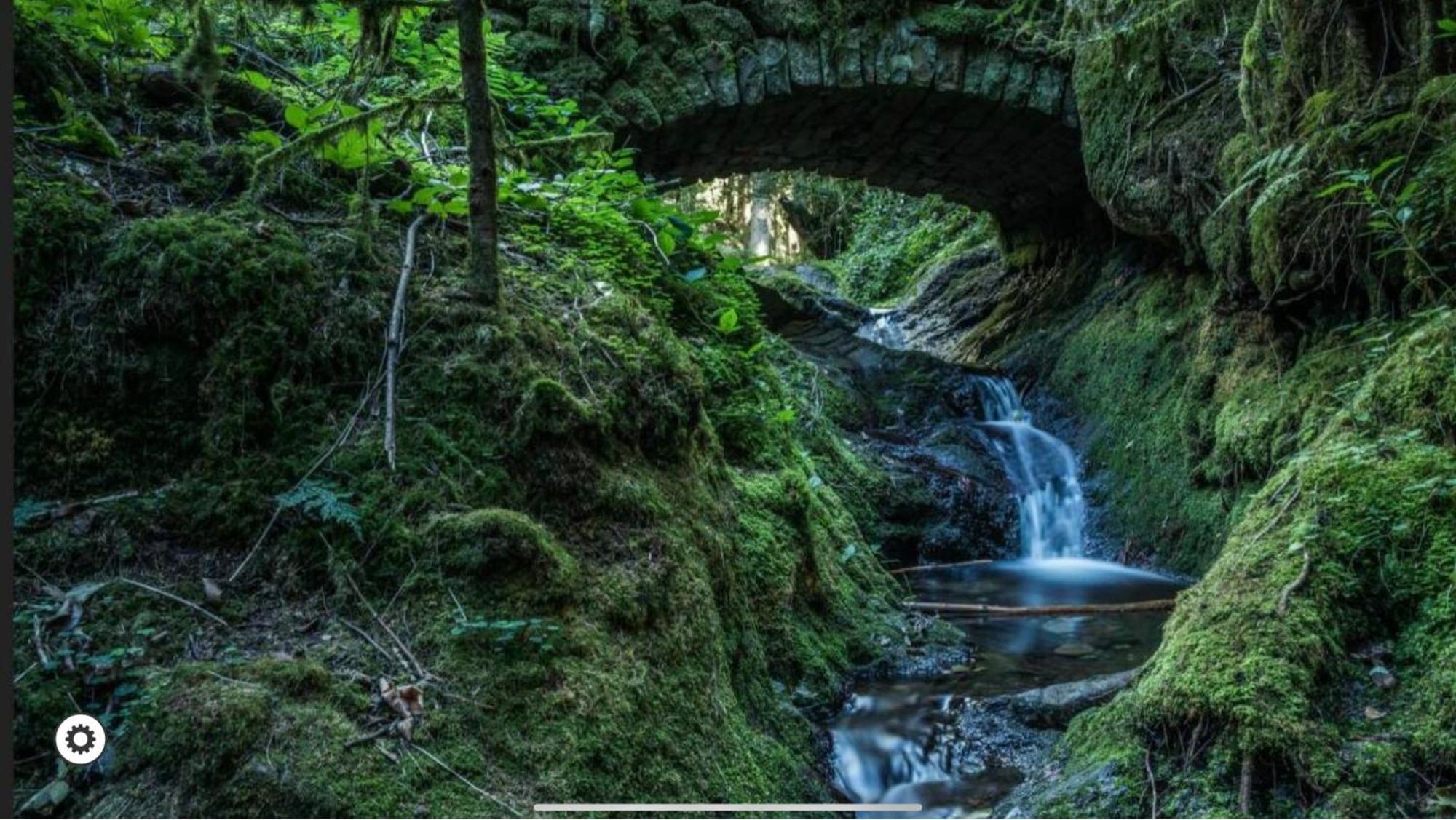 Ferienwohnung Schwarzwald Tannenzaepfle Baiersbronn Luaran gambar